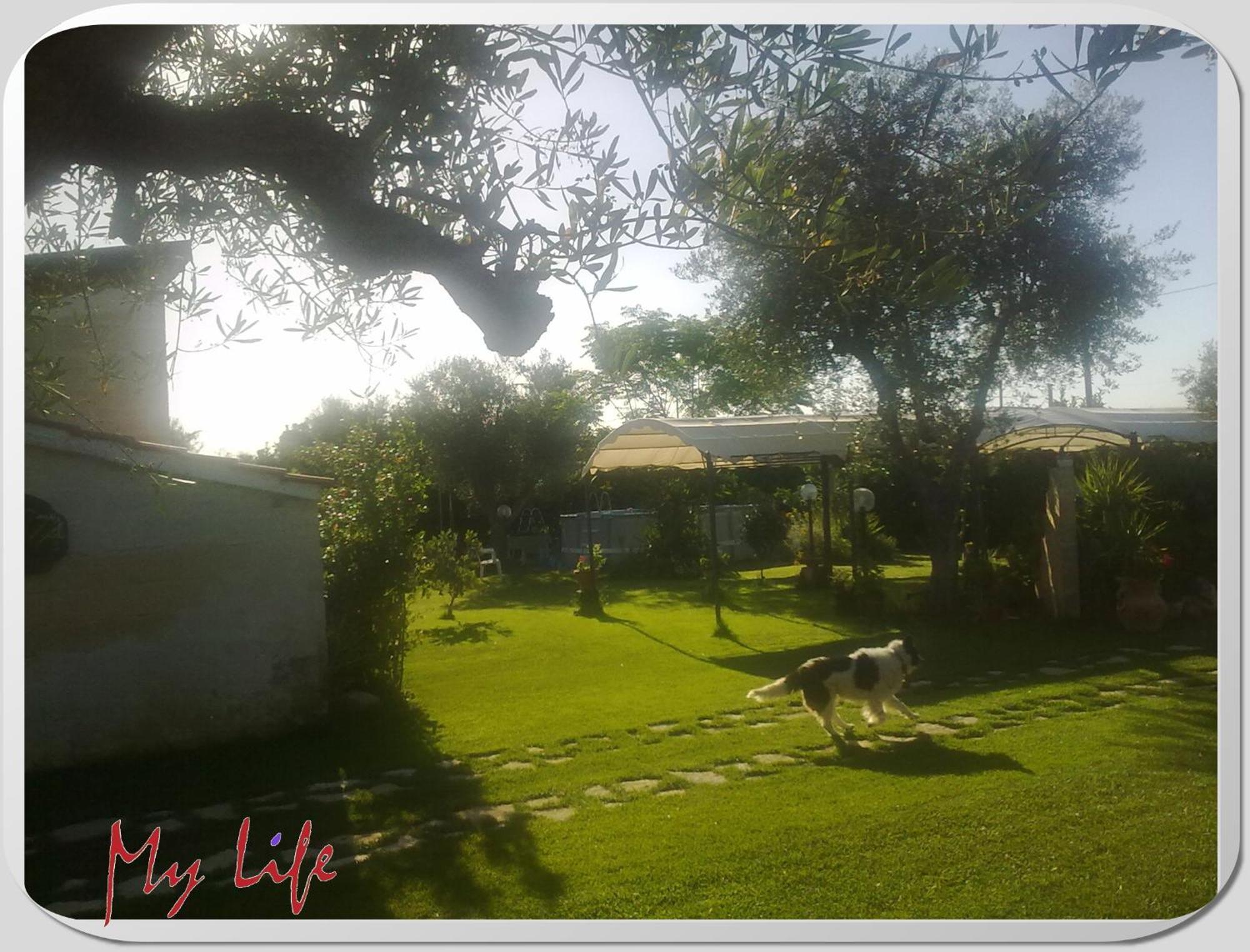 Mylife B&B Country House Castellaneta Marina Luaran gambar